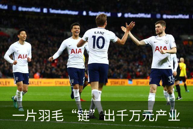 一片羽毛“链”出千万元产业