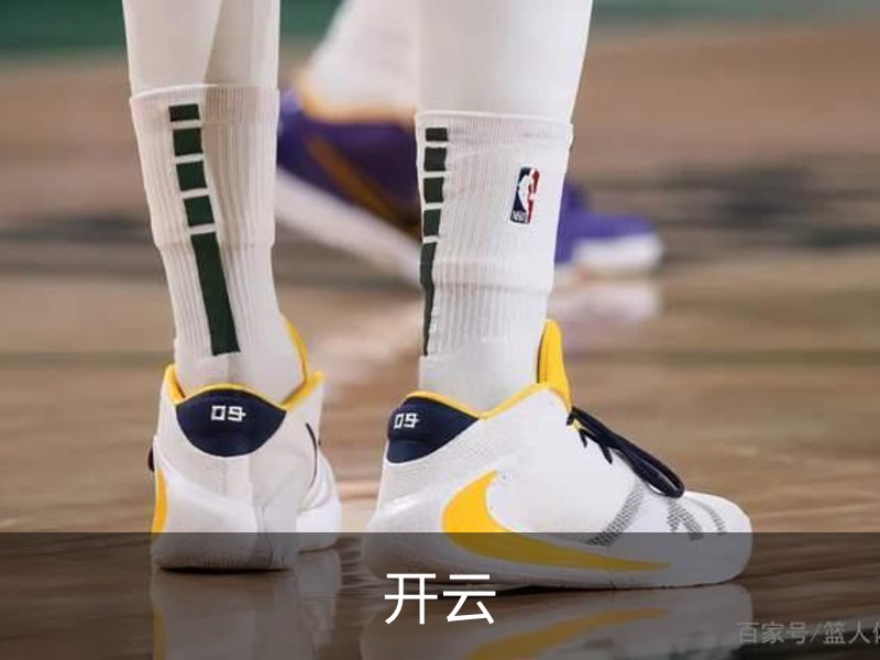 开云概况